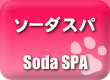 炭酸泉（SODA SPA）